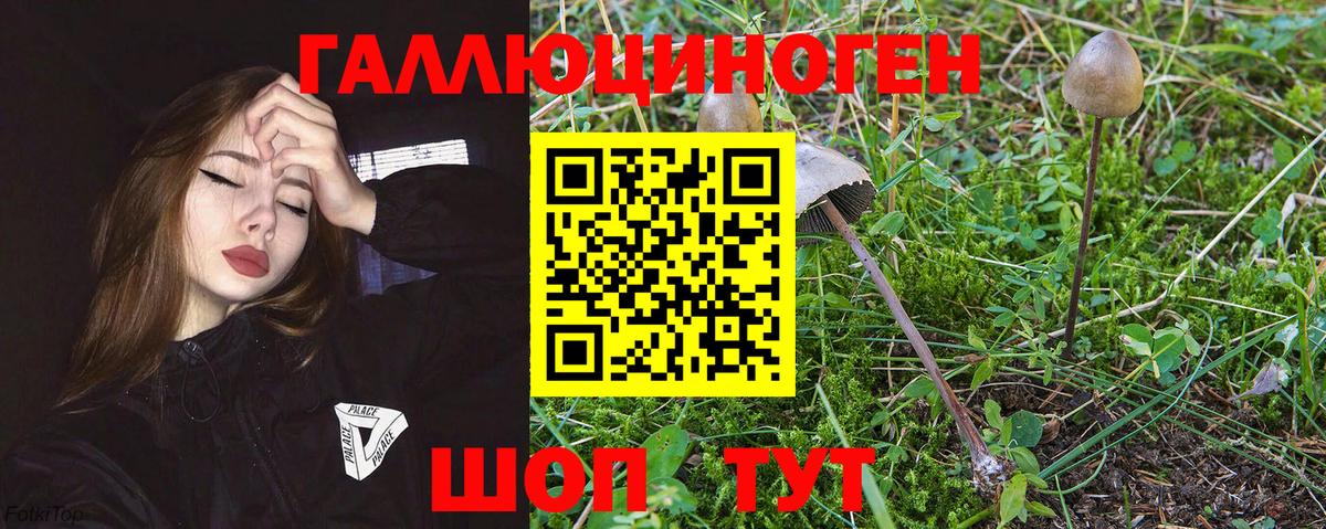Псилоцибиновые грибы ЛСД Костомукша