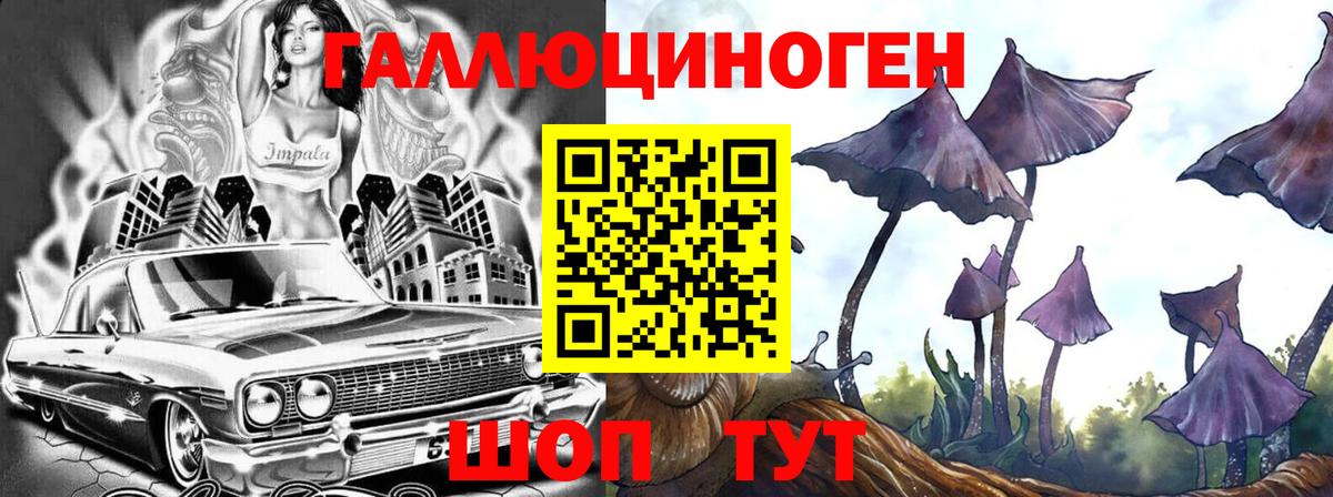 Костомукша  Псилоцибиновые грибы мицелий  Вход с VPN 